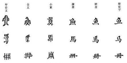 福建教师招聘考试小学语文知识点：汉字的结构